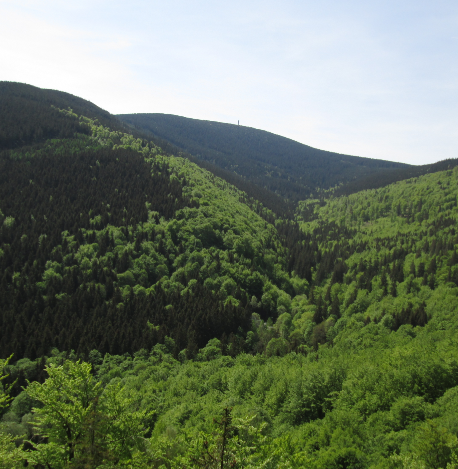 Dolina Kleśnicy ze Stromą. W tle widoczny Śnieżnik