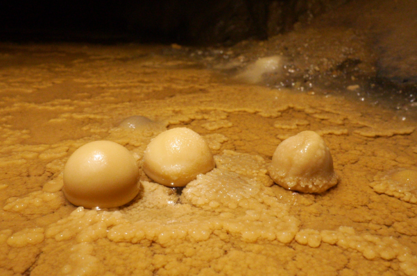 Pizoidy – perły  jaskiniowe